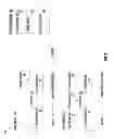Fig. 04 - Migration of virtual machines with shared memory