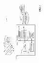 Fig. 02 - PERSONAL VIDEOS AGGREGATION