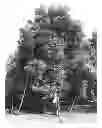Fig. 01 - Avocado tree named 'Flavia'