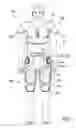 Fig. 02 - Apparel incorporating a protective element and method for making