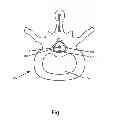 Fig. 02 - Exotect