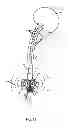 Fig. 09 - Exotect