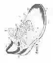 Fig. 02 - Method of manufacturing a knitted component
