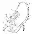 Fig. 02 - Method of lasting an article of footwear