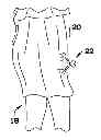 Fig. 01 - CLIP TO PREVENT DRESSES FROM BLOWING UP