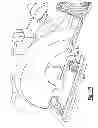 Fig. 09 - Saw with Increased Depth of Cut