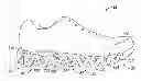 Fig. 01 - Sole And Article Of Footwear