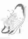 Fig. 02 - Article of footwear incorporating a knitted component