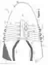 Fig. 07 - Article of footwear incorporating a knitted component