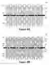 Fig. 10 - Article of footwear incorporating a knitted component