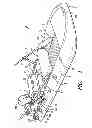Fig. 02 - Convertible inflatable boat with stand up paddleboard