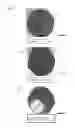 Fig. 06 - SiC single crystal manufacturing method using alternating states of supersaturation