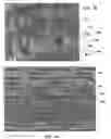Fig. 07 - Method for mass transfer of micro-patterns onto medical devices