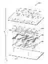 Fig. 01 - Systems, devices and methods for multiplexed diagnostics