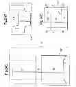 Fig. 28 - Packages