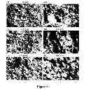 Fig. 09 - Open-cell foam for the selective absorption of oil from water