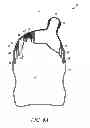 Fig. 03 - READY TO FEED CONTAINER WITH DRINKING DISPENSER AND SEALING MEMBER, AND RELATED METHOD