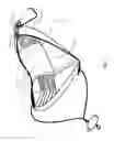 Fig. 09 - Reusable shopping bag storage and dispensing system
