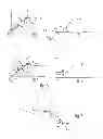 Fig. 04 - Method for the guidance of a rotorcraft, which method limits noise discomfort in a procedure for the approach to a landing point