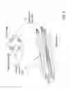 Fig. 04 - System and Apparatus to Illuminate Individual Particles