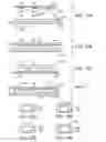 Fig. 09 - Polymeric binders incorporating light-detecting elements and related methods