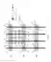 Fig. 04 - Contact power rail