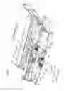Fig. 06 - Image forming device capable of stably feeding recording sheet