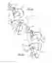 Fig. 08 - VEHICLE DOOR LATCH ASSEMBLY AND LATCH  THEREFOR