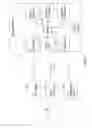 Fig. 16 - System or device with wearable devices having one or more sensors with assignment of a wearable device user identifier to a wearable device user