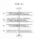 Fig. 12 - Display panel and panel inspection apparatus
