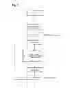 Fig. 08 - Display system and electrical appliance