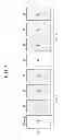 Fig. 09 - DISPLAY DEVICE AND PROCESSING METHOD OF IMAGE SIGNAL