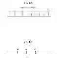 Fig. 07 - Display device and manufacturing method thereof