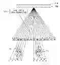 Fig. 01 - LOCAL MULTI VIEW IMAGE DISPLAY APPARATUS AND METHOD
