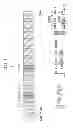 Fig. 03 - Microscope apparatus for preventing unnecessary degradation of a light detector