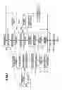 Fig. 07 - Photographing apparatus, photographing system, photographing method, and program stored in non-transitory medium in photographing apparatus