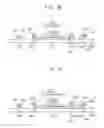 Fig. 09 - Electrostatic member in forming touch display apparatus and method of manufacturing the same