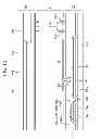 Fig. 10 - Liquid crystal display