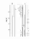 Fig. 20 - Liquid crystal display