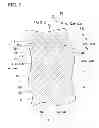 Fig. 06 - LENS, LENS UNIT, AND LENS MANUFACTURING METHOD