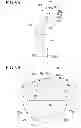 Fig. 13 - LENS, LENS UNIT, AND LENS MANUFACTURING METHOD