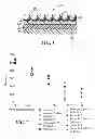 Fig. 02 - Retroreflective articles and appliques