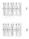 Fig. 07 - Localized dispersed storage memory system