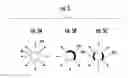 Fig. 06 - LIGHT DIFFUSION APPARATUS AND METHODS FOR INTERIOR SPACE ILLUMINATION
