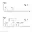 Fig. 07 - Partitioned erase and erase verification in non-volatile memory