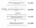 Fig. 01 - Systems and methods for learning MSS of services