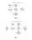 Fig. 07 - Robustness header compression processing method, compressor and system