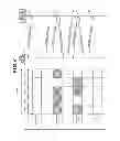 Fig. 07 - Mobile communication system, base station apparatus, mobile station apparatus and communication method