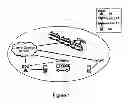 Fig. 02 - Moving access point indication