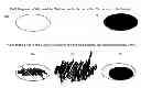 Fig. 01 - INDICATOR MARK RECOGNITION